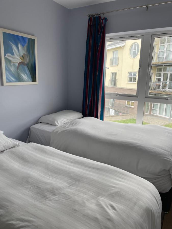 Five Bedroom Waterfront House Carrick on Shannon エクステリア 写真